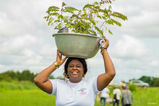 One Tree Planted