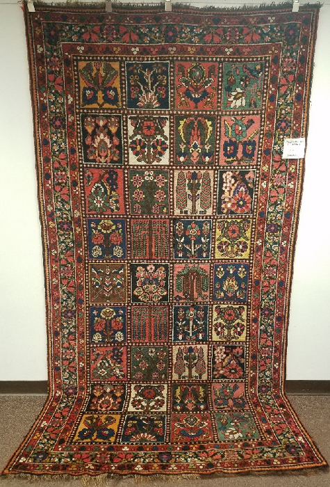 Persian Bakhtiari