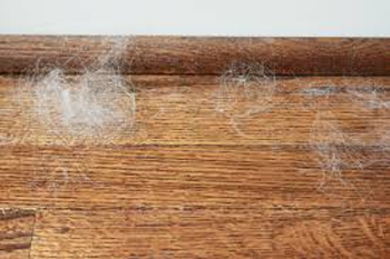 pet hair on wood floors