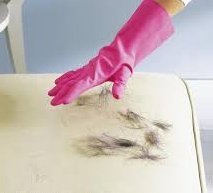 removal of pet hair with rubber glove