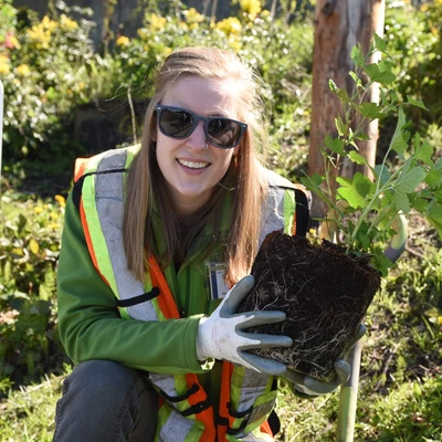 Planting a Tree