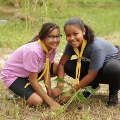 Planting Trees