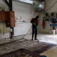 In Plant Rug Washing