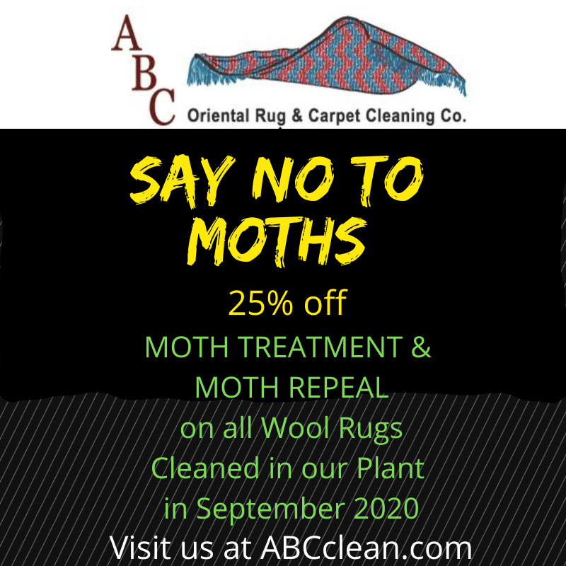 Say No to Moths!
