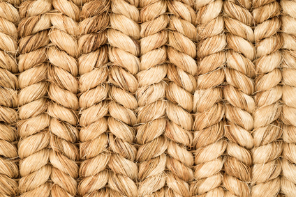 Sisal Rug